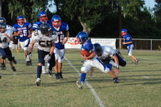 Enlarge photo 75