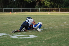 Enlarge photo 99