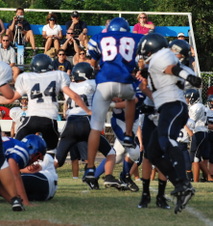 Enlarge photo 113