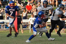Enlarge photo 151