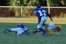 Enlarge photo 45