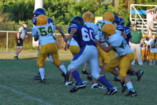 Enlarge photo 56