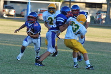 Enlarge photo 60