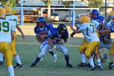 Enlarge photo 61