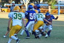 Enlarge photo 62