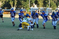 Enlarge photo 66