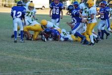 Enlarge photo 67