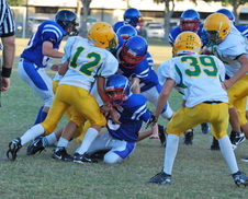 Enlarge photo 69