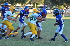 Enlarge photo 72
