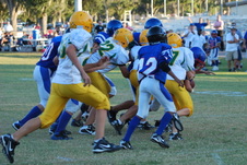 Enlarge photo 71