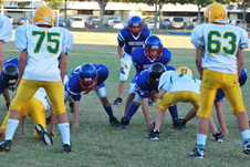 Enlarge photo 75
