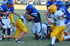 Enlarge photo 77