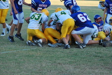 Enlarge photo 80