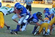 Enlarge photo 79