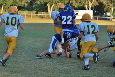 Enlarge photo 81