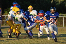 Enlarge photo 93