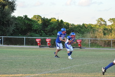 Enlarge photo 115