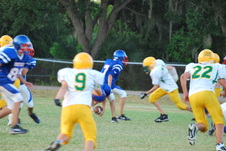 Enlarge photo 120