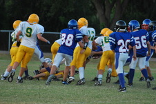 Enlarge photo 122