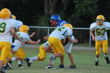 Enlarge photo 124