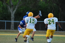 Enlarge photo 134