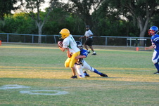 Enlarge photo 135