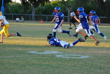 Enlarge photo 137