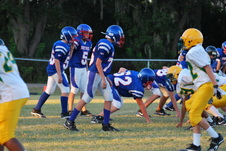 Enlarge photo 141
