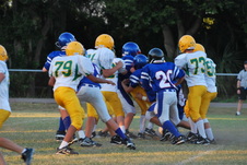 Enlarge photo 142