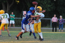 Enlarge photo 143