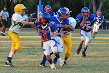 Enlarge photo 146