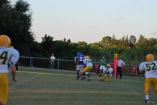 Enlarge photo 151