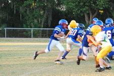 Enlarge photo 154
