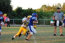 Enlarge photo 155