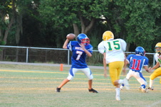 Enlarge photo 159