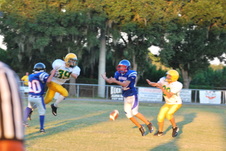 Enlarge photo 160