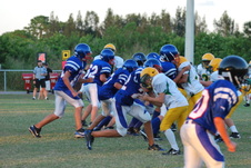 Enlarge photo 161