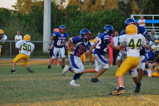 Enlarge photo 178