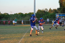 Enlarge photo 181