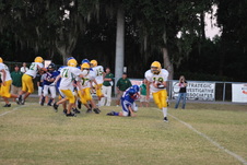 Enlarge photo 187