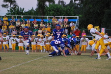 Enlarge photo 203