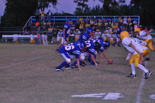 Enlarge photo 205