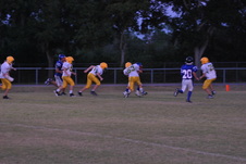 Enlarge photo 208