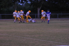 Enlarge photo 209