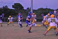 Enlarge photo 211
