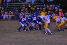Enlarge photo 215