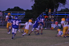 Enlarge photo 216