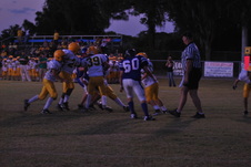 Enlarge photo 225
