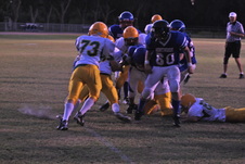 Enlarge photo 228