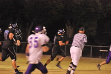 Enlarge photo 142
